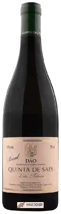 Winery Quinta da Pellada - Quinta de Saes Late Release Bical