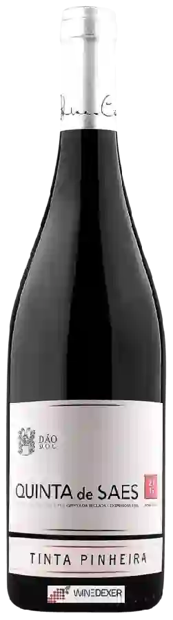 Winery Quinta da Pellada - Quinta de Saes Tinta Pinheira