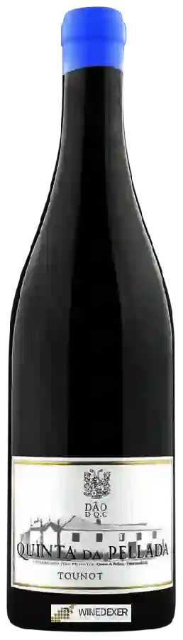 Winery Quinta da Pellada - Tounot