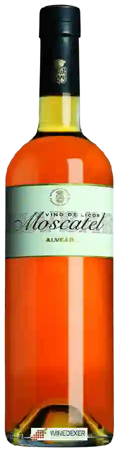 Winery Alvear - Moscatel