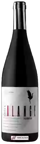 Winery Alvear - Señorío de Alange Ensamblaje