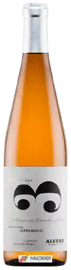 Winery Alvear - 3 Miradas Cerro Macho