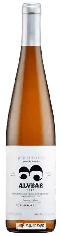 Winery Alvear - 3 Miradas El Garrotal