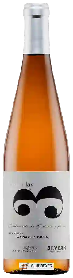 Winery Alvear - 3 Miradas La Viña De Antoñín Winery Alvear - 3 Miradas La Viña De Antoñín
