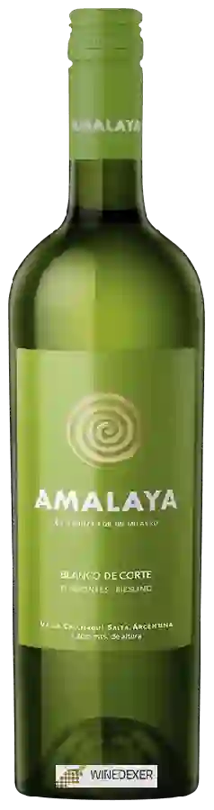 Winery Amalaya - Blanco (Riesling - Torrontés) Winery Amalaya - Blanco (Riesling - Torrontés)