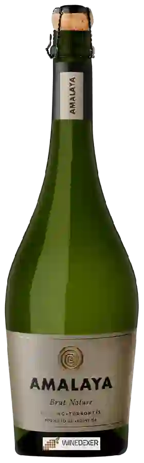 Winery Amalaya - Brut Nature (Riesling - Torrontés) Winery Amalaya - Brut Nature (Riesling - Torrontés)