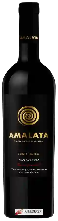 Winery Amalaya - Corte &Uacutenico (Finca San Isidro)