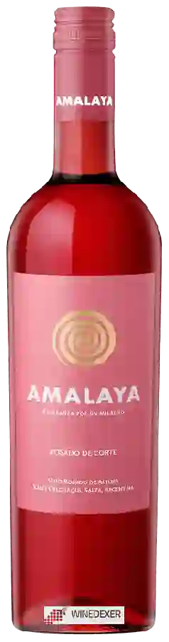 Winery Amalaya - Rosado (Malbec - Torrontés)