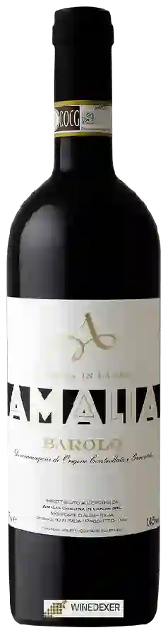 Winery Amalia Cascina In Langa - Barolo