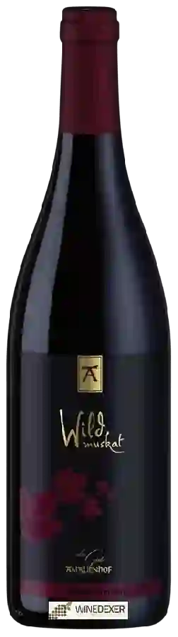 Winery Amalienhof - Wild Muskat aus Versuchsanbau Spätlese Trocken Winery Amalienhof - Wild Muskat aus Versuchsanbau Spätlese Trocken