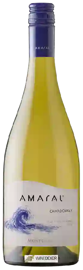 Winery Amaral - Chardonnay Winery Amaral - Chardonnay