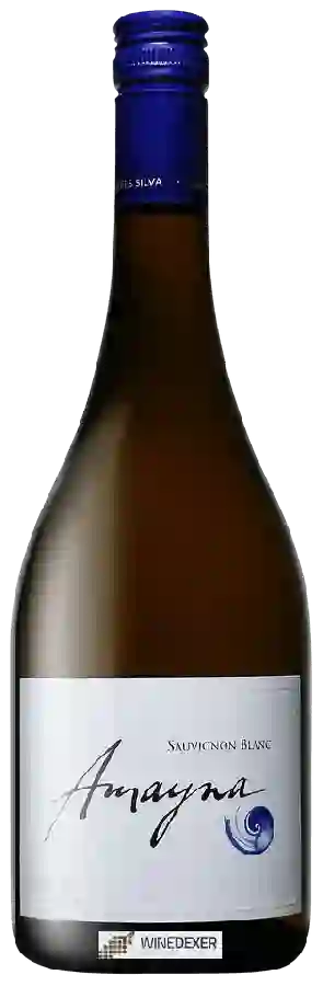 Winery Amayna - Sauvignon Blanc