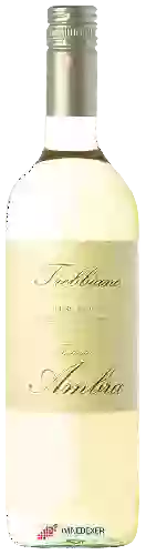 Winery Fattoria Ambra - Trebbiano Toscana