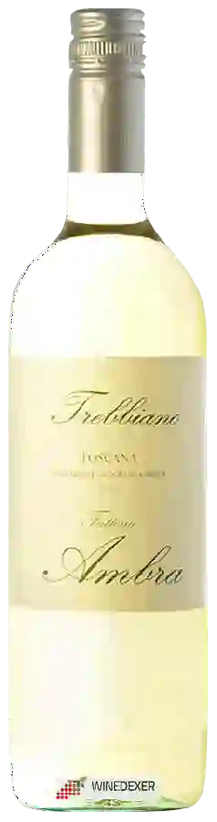 Winery Fattoria Ambra - Trebbiano Toscana Winery Fattoria Ambra - Trebbiano Toscana