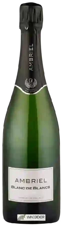Winery Ambriel - Blanc de Blancs