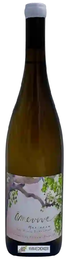 Winery Amevive - Ibarra Young Vineyard Marsanne Winery Amevive - Ibarra Young Vineyard Marsanne