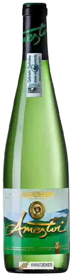 Winery Ameztoi - Blanco