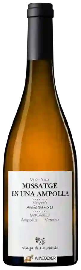 Winery Amós Bañeres - Vinya Oculta - Missatge en Una Ampolla