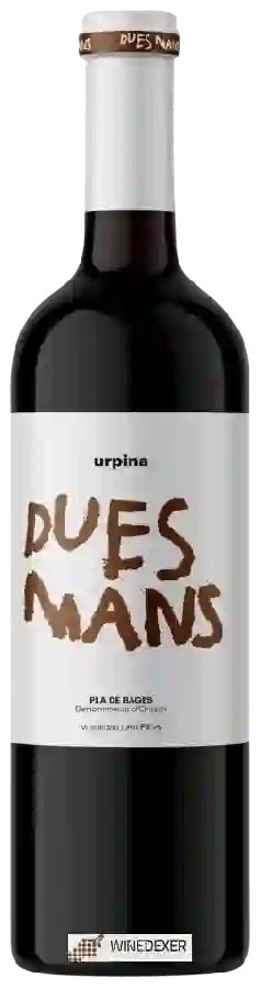 Winery Ampans - Urpina Dues Mans