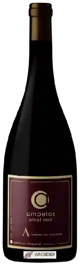Winery Ampelos - Lambda (The Magnitude) Pinot Noir Winery Ampelos - Lambda (The Magnitude) Pinot Noir