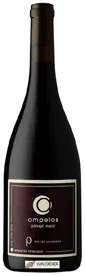 Winery Ampelos - Rho (The Correlation) Pinot Noir