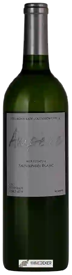 Winery Ampère - Pine Mountain Vineyards Sauvignon Blanc Winery Ampère - Pine Mountain Vineyards Sauvignon Blanc