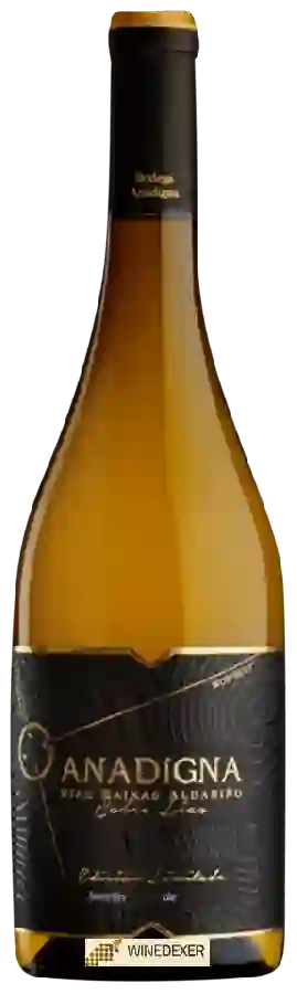 Winery Anadigna - Sobre Lías Albariño