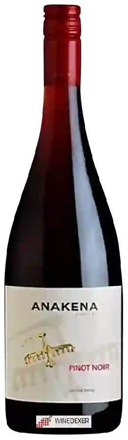 Winery Anakena - Pinot Noir