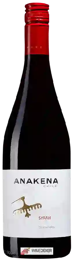 Winery Anakena - Syrah Winery Anakena - Syrah