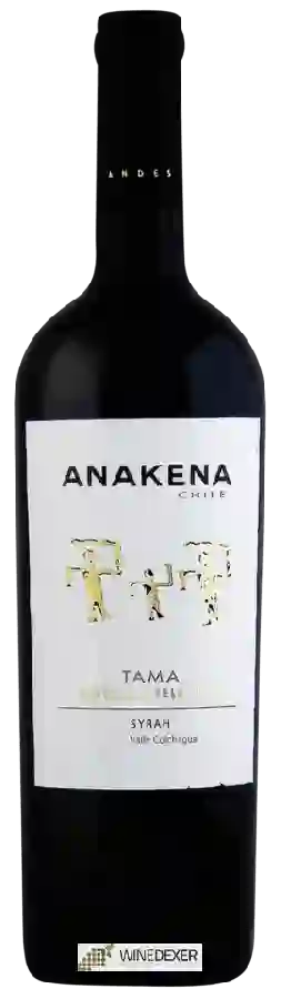 Winery Anakena - Tama Vineyard Selection Syrah