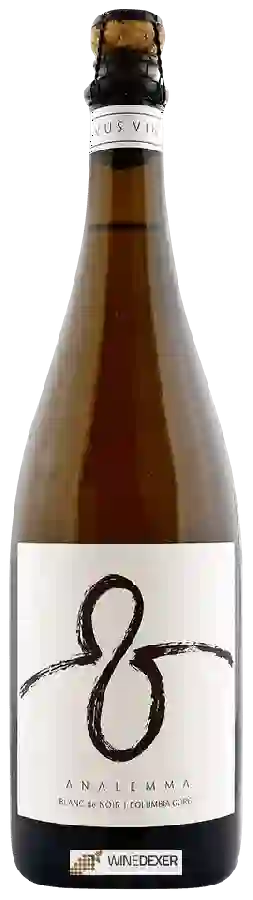 Winery Analemma - Blanc de Noir Winery Analemma - Blanc de Noir