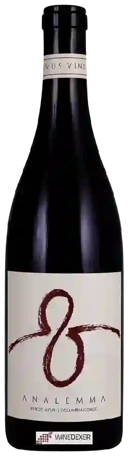 Winery Analemma - Pinot Noir Winery Analemma - Pinot Noir