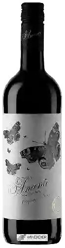 Winery Ananto - Tinto