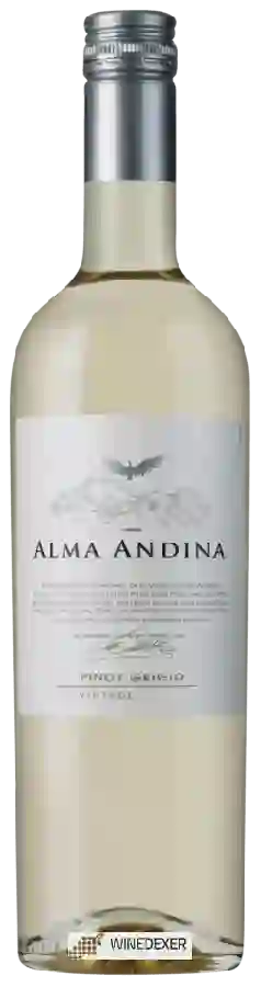 Winery Andean Vineyards - Alma Andina Pinot Grigio Winery Andean Vineyards - Alma Andina Pinot Grigio