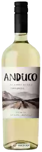 Winery Andeluna - Anduco Torrontes