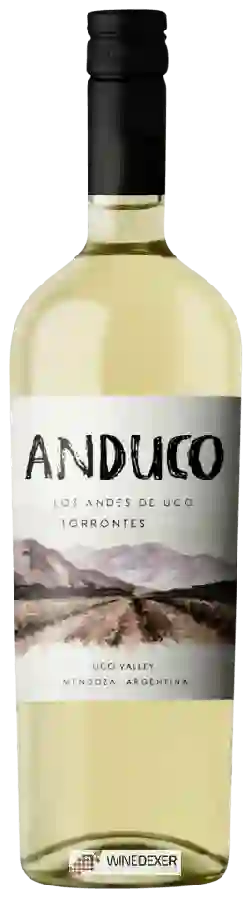 Winery Andeluna - Anduco Torrontes