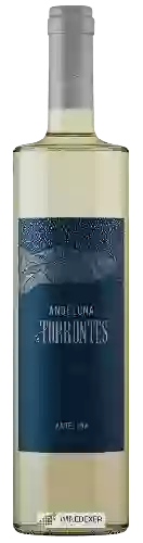 Winery Andeluna - Edición Limitada Torrontés