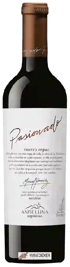 Winery Andeluna - Pasionado Cuatro Cepas Winery Andeluna - Pasionado Cuatro Cepas