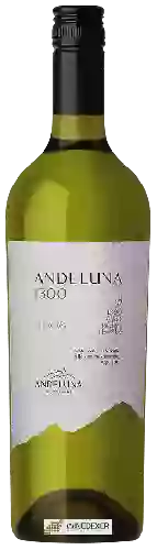 Winery Andeluna - 1300 Torrontés