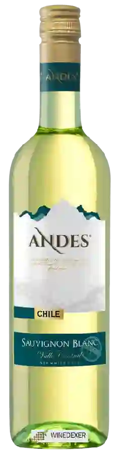 Winery Andes - Sauvignon Blanc Winery Andes - Sauvignon Blanc
