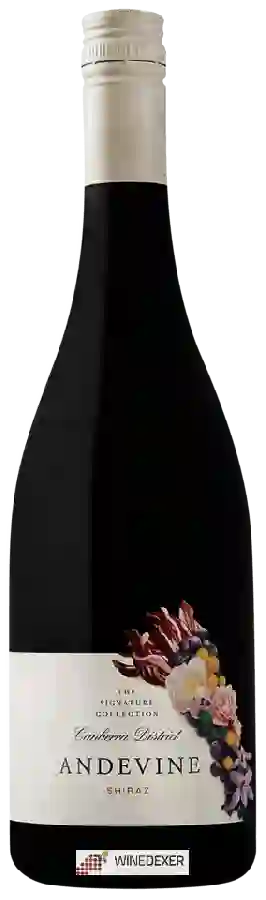 Winery Andevine - The Signature Collection Shiraz