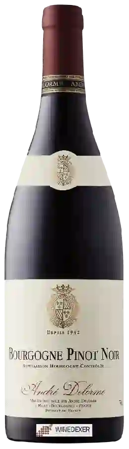 Winery André Delorme - Bourgogne Pinot Noir