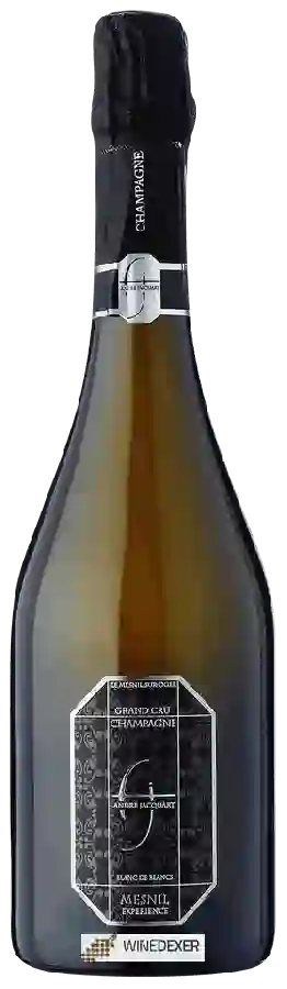Winery André Jacquart - Blanc de Blancs Champagne Grand Cru 'Le Mesnil-sur-Oger'