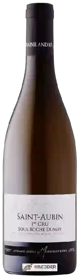 Winery Andre Moingeon & Fils - Saint-Aubin 1er Cru 'Sous Roche Dumay'