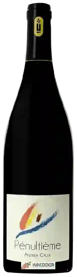 Winery Andréa Calek - Pénultième