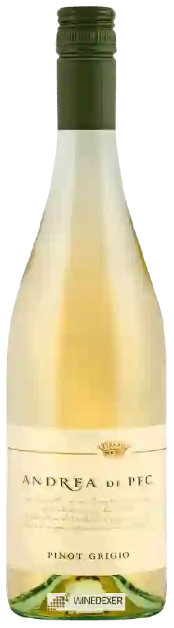 Winery Andrea di Pec - Pinot Grigio