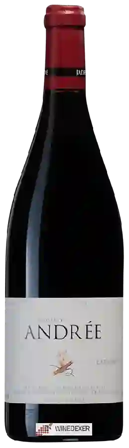 Domaine Andrée - 'Carbone' Anjou Rouge