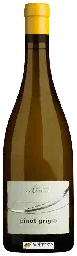 Winery Andrian - Pinot Grigio