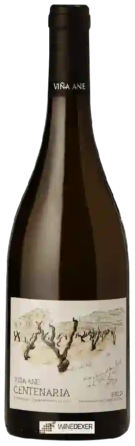 Winery Viña Ane - Centenaria