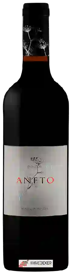 Winery Aneto - Tinto Winery Aneto - Tinto